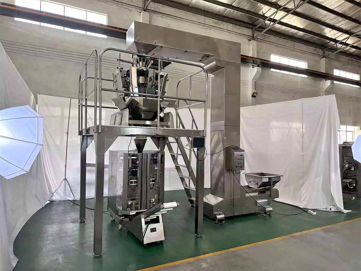 500g peanut multi heads weigher packaging machine customer factory inspection