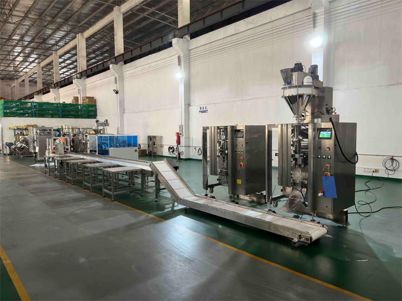 Powder pouch bagging and cartoning machine system exported to South Africa