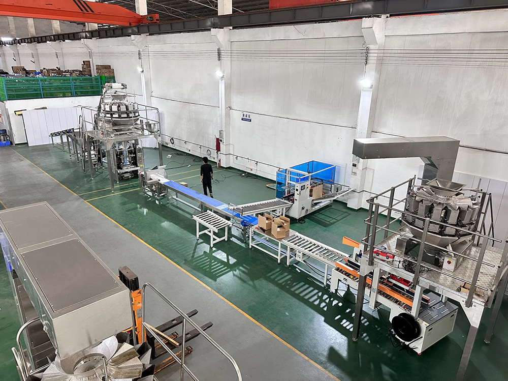 Automated Bulk Mesh Bagging & Cartoning Line